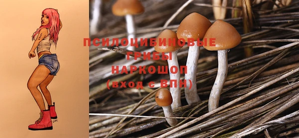 а пвп мука Абаза