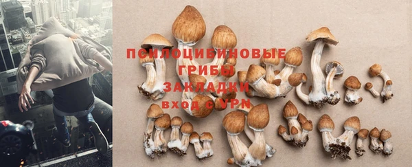 кристаллы Абинск